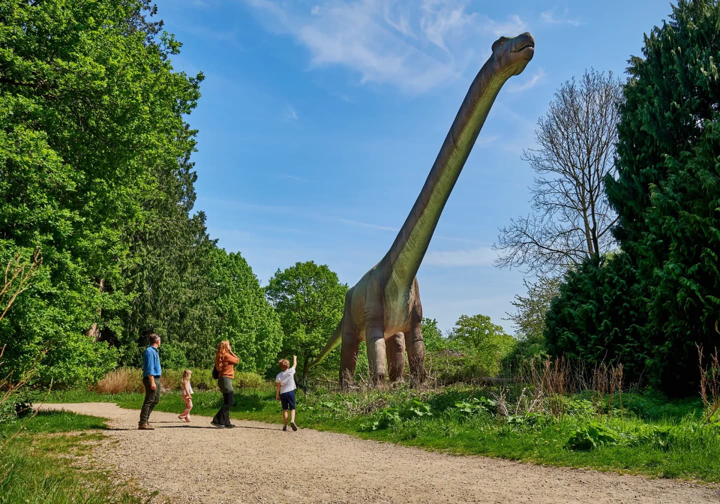 Knuthenborg Knuthenborg Safaripark - mit dem Auto in die Wildnis | Scandlines
